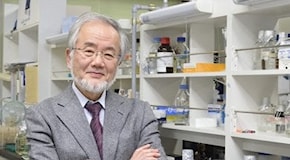 Il giapponese Ohsumi vince il Nobel per la medicina
