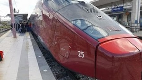 Hostess muore a 33 anni, Italo e i colleghi le dedicano un treno dell'alta velocità