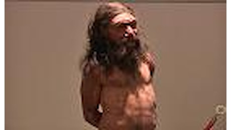 L'Uomo di Neanderthal e le orme dei dinosauri: Altamura racconta la Preistoria