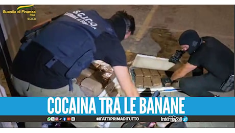 Tonnellate di cocaina dal Sudamerica, 23 arresti contri gli alleati della camorra