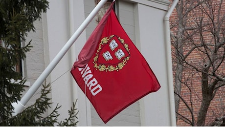Quanto costa studiare ad Harvard? Requisiti di ammissione e step per gli studenti italiani che puntano all’università Usa