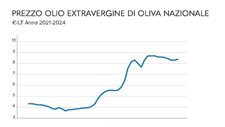 Olio extravergine di oliva, prezzo sopra gli 8 euro al litro: la classifica dei migliori 20 secondo Altroconsumo