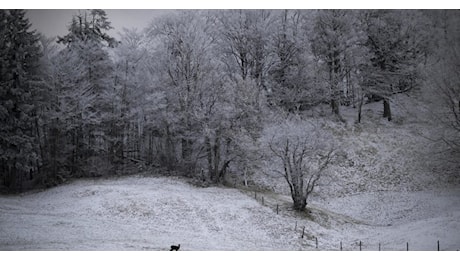 Temperature in calo e gelate, attese nevicate a bassa quota: ecco dove