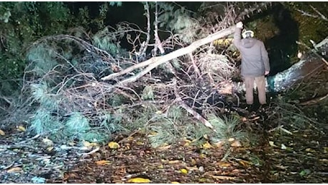 Tanti danni per il vento in Garfagnana fra alberi caduti e blackout