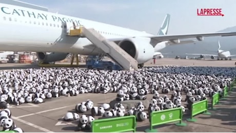 VIDEO Hong Kong, migliaia di sculture di panda all'aeroporto