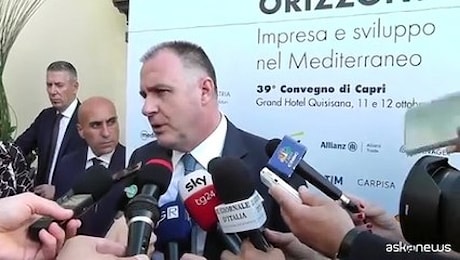 Stellantis, Orsini: Chiedere altri incentivi mi sembra pazzia