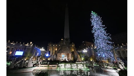 Vaticano, accesi l'albero di Natale e il presepe in piazza San Pietro. FOTO