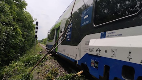 Cade un albero sui binari, bloccato un treno nel Pordenonese: a Sacile passerella danneggiata da una pianta
