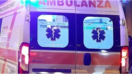 Attraversa sulle strisce con i figli di un anno, camion la investe e uccide