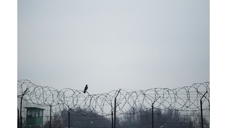 Modello Albania e Modello El Salvador, due casi di claustrofobia istituzionale