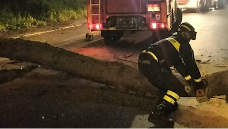 Roma sferzata dal forte vento: 90 interventi dei pompieri per alberi caduti o pericolanti