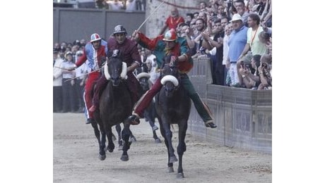 Tradizioni, Palio di Siena: assegnati i cavalli alle 10 contrade