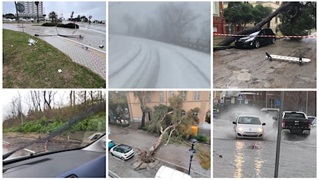 Ondata di maltempo, dalla neve nell’entroterra al vento forte sulla costa. Piante e pali della luce caduti in strada ( Video e Foto