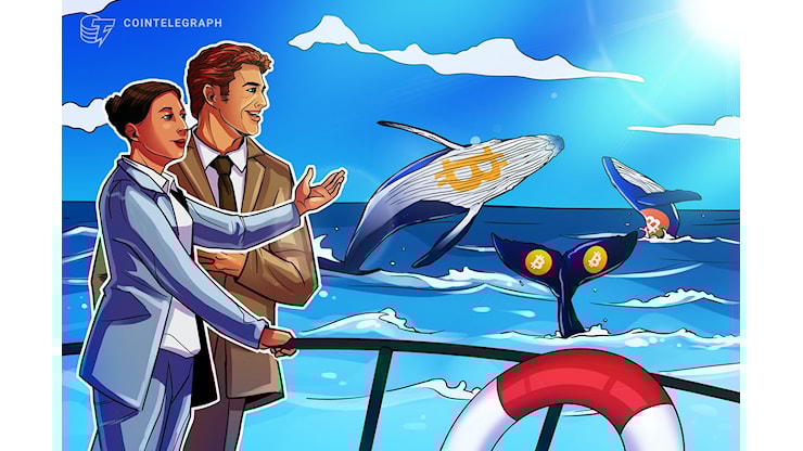 Santiment: Wallet Bitcoin più ricchi continuano ad accumulare mentre altri vendono - Cointelegraph: Notizie su Blockchain, Bitcoin & Ethereum Santiment: Wallet Bitcoin più ricchi continuano ad accumulare mentre altri vendono - Cointelegraph: Notizie su Blockchain, Bitcoin & Ethereum