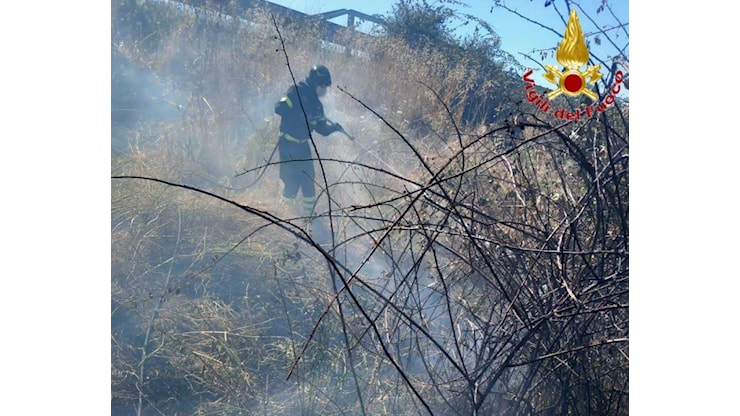Dopo Cerveteri, il fuoco attacca Fiumicino: chiuse A12 ed Fl1 - Terzo Binario News Dopo Cerveteri, il fuoco attacca Fiumicino: chiuse A12 ed Fl1 - Terzo Binario News