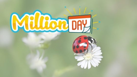 MillionDay E MillionDay Extra, Le Estrazioni Delle 13 Di Sabato 16 ...