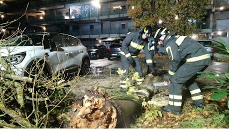 Vento forte e pioggia in Toscana, alberi caduti e allagamenti. Pistoiese, Mugello e la costa le zone più colpite