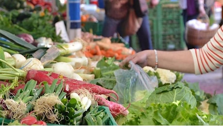 Terra Madre, la Regione scommette sul cibo: “Investiamo nella filiera corta”