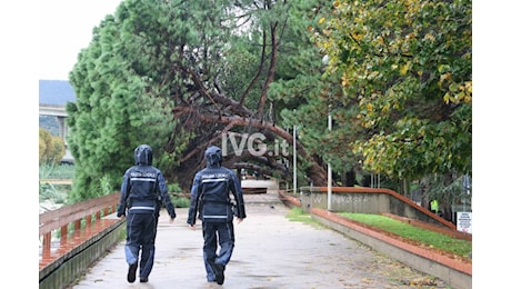 Maltempo: a Savona allagato sottopasso tra via Stalindrado e via Nizza, caduti due alberi alle Trincee