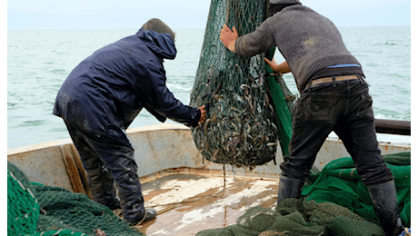 I silenziosi eroi del mare. Serve riconoscere con i fatti il valore dei pescatori