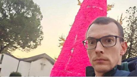 Verona, l'attacco di Don «TikTok» contro l'albero fucsia davanti alla Chiesa: «In Comune troppa frociaggine?»