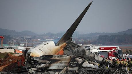 Corea del Sud, aereo esce di pista ed esplode: “181 a bordo, due sopravvissuti”. Ipotesi bird strike