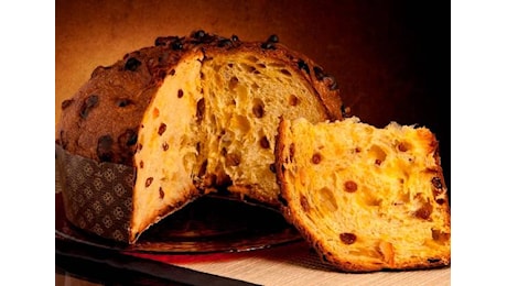 “Il panettone tiene, ma il pandoro è in rimonta e cresce del 22%”. L’indagine del Sigep: in gennaio i verdetti finali alla fiera di Rimini