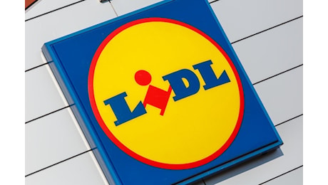 Lidl dal 4 novembre 2024: carta regalo, calendari dell’avvento e set per pacchetti imperdibili