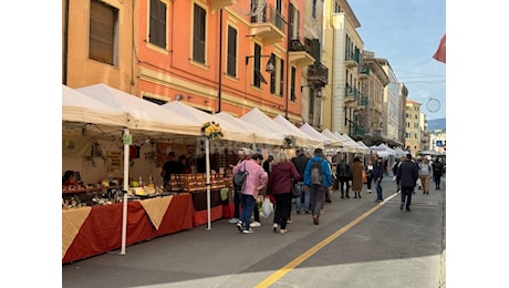 Seconda giornata di Olioliva 2024, gli appuntamenti della manifestazione imperiese