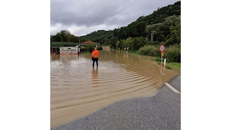 Il fiume Cecina in piena, strade chiuse