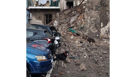 Maltempo: crolla parte di un palazzo nel napoletano, paura a Torre del Greco