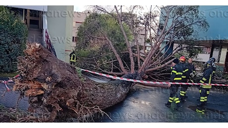 Ore di angoscia per il giovane ebolitano ferito da un albero a Fisciano. L'Università: Siamo addolorati