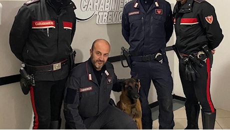 Delitto di Pontirolo, il cane anti esplosivi trova l'arma dell'omicidio