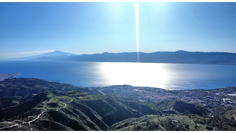 Avvistato un raro animale nello Stretto di Messina: ecco di cosa si tratta