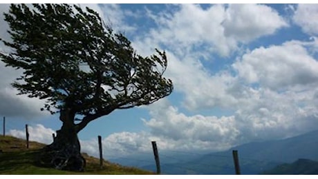 Vento forte in Veneto, da domani stato di attenzione su zone montane e pedemontane