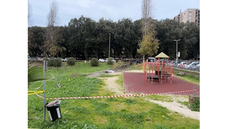 Come sta la donna rimasta ferita nel crollo dell’albero nel parco a Roma: morta l’amica che era con lei