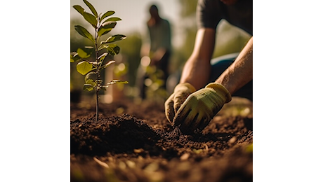 Manovra 2025: misure in materia di ricerca nel settore dell’agricoltura e della zootecnia