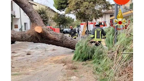 L’allerta dei meteorologi: l’arrivo improvviso del freddo avrà conseguenze estreme