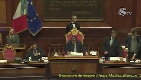 La maternità surrogata è reato universale, l'ok in Senato con 85 voti favorevoli e 58 contrari