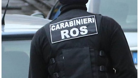 BRANDIZZO-RONDISSONE - Operazione dei carabinieri di Catanzaro contro la 'ndrangheta: 14 arresti - VIDEO