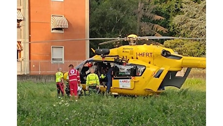 Busto, bimba azzannata dal Bull Terrier di famiglia. Il padre accoltella il cane