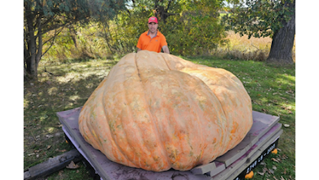 Ecco Rudy, la zucca più grande del mondo: pesa oltre 1 tonnellata