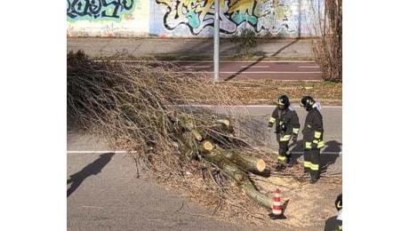 Raffiche di vento su Milano, scatta l'allerta gialla: le previsioni