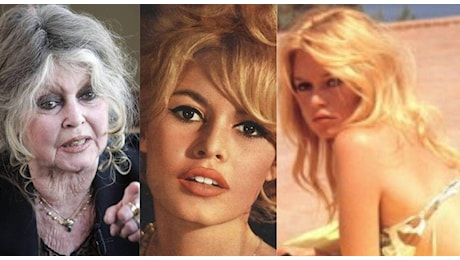 Brigitte Bardot, i 90 anni della musa eterna. Una vita da sex-symbol, oggi dice: «Sono felice della mia solitudine»