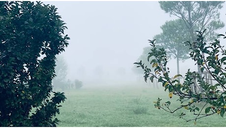 Cielo poco nuvoloso in provincia di Ravenna oggi, giovedì 28 novembre. Attenzione al mattino e in serata a nebbia e foschia