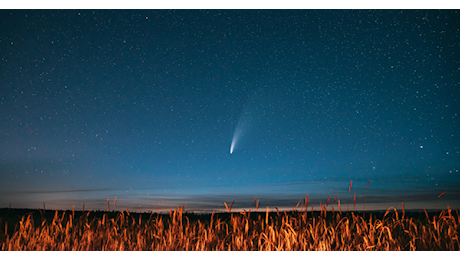 Torino, prepara i binocoli! Sta arrivando la cometa del secolo: ecco come vederla in città (se non si disintegra)