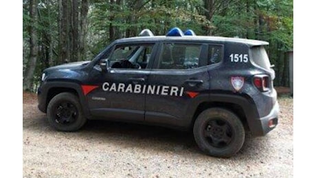 Identificato il cadavere trovato nei boschi di Recco, era un uomo scomparso da un anno