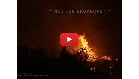 Meteo Video: California, va a fuoco il parco di Paynes Creek, migliaia di ettari di foreste in fumo