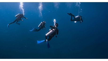 Sono due i cavi internet sottomarini danneggiati nel mar Baltico. Germania e Finlandia: “Sospetto di danni intenzionali”