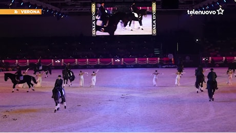 Il Gala d'Oro di Fieracavalli incanta ancora una volta il pubblico VIDEO